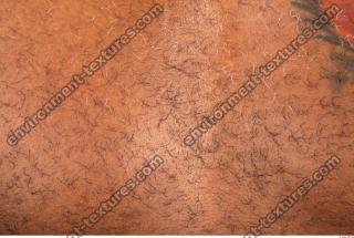 human skin hairy 0014